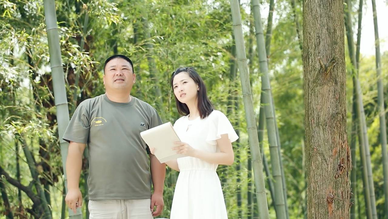 鳴林民宿，穿越千山萬水魂牽夢索的只有家鄉