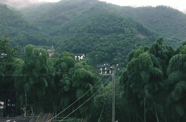 鳴林民宿，穿越千山萬水魂牽夢索的只有家鄉