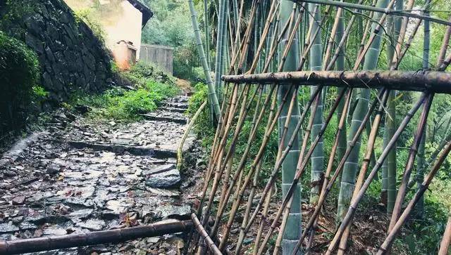 鳴林民宿，穿越千山萬水魂牽夢索的只有家鄉