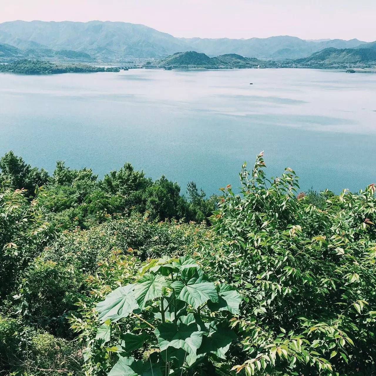 大樂(lè)之野·谷舍，擁有一個(gè)詩(shī)意的世界