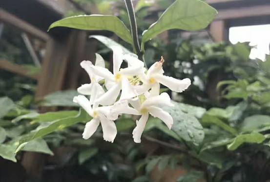 壹城一家，一座城一盞燈一個家在守候你