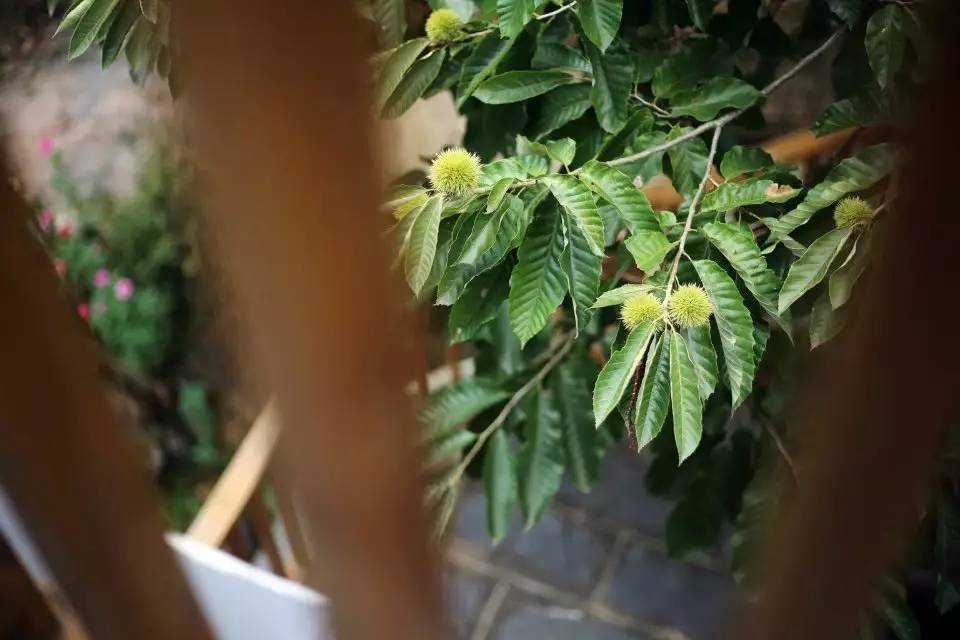 壹城一家,一座城一盞燈一個家在守候你