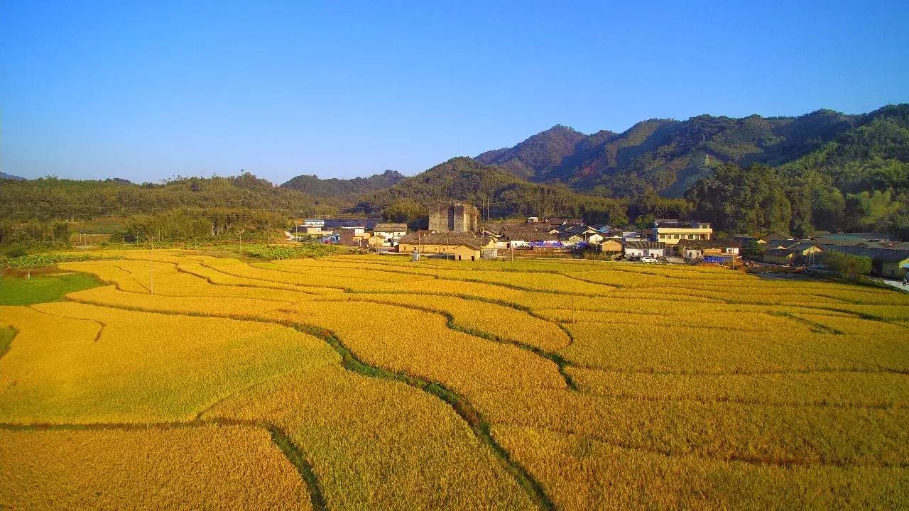 天堂山鄉愛樹民宿，古色古香的童話小鎮