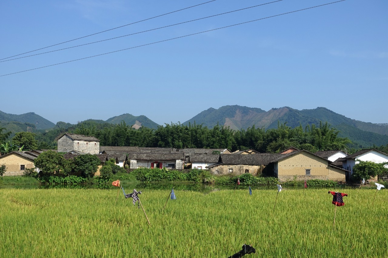 天堂山鄉愛樹民宿，古色古香的童話小鎮