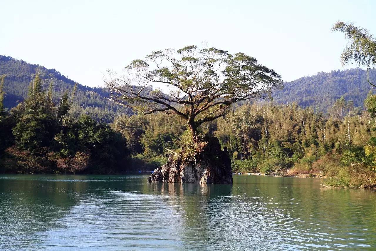 天堂山鄉(xiāng)愛(ài)樹(shù)民宿，古色古香的童話小鎮(zhèn)