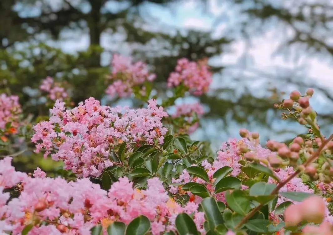 忘山別墅莫干山民宿，一棟百年歷史的民國別墅