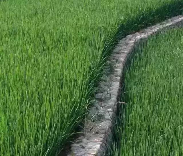 九華山德懋堂，九華山間打坐冥想清涼入心