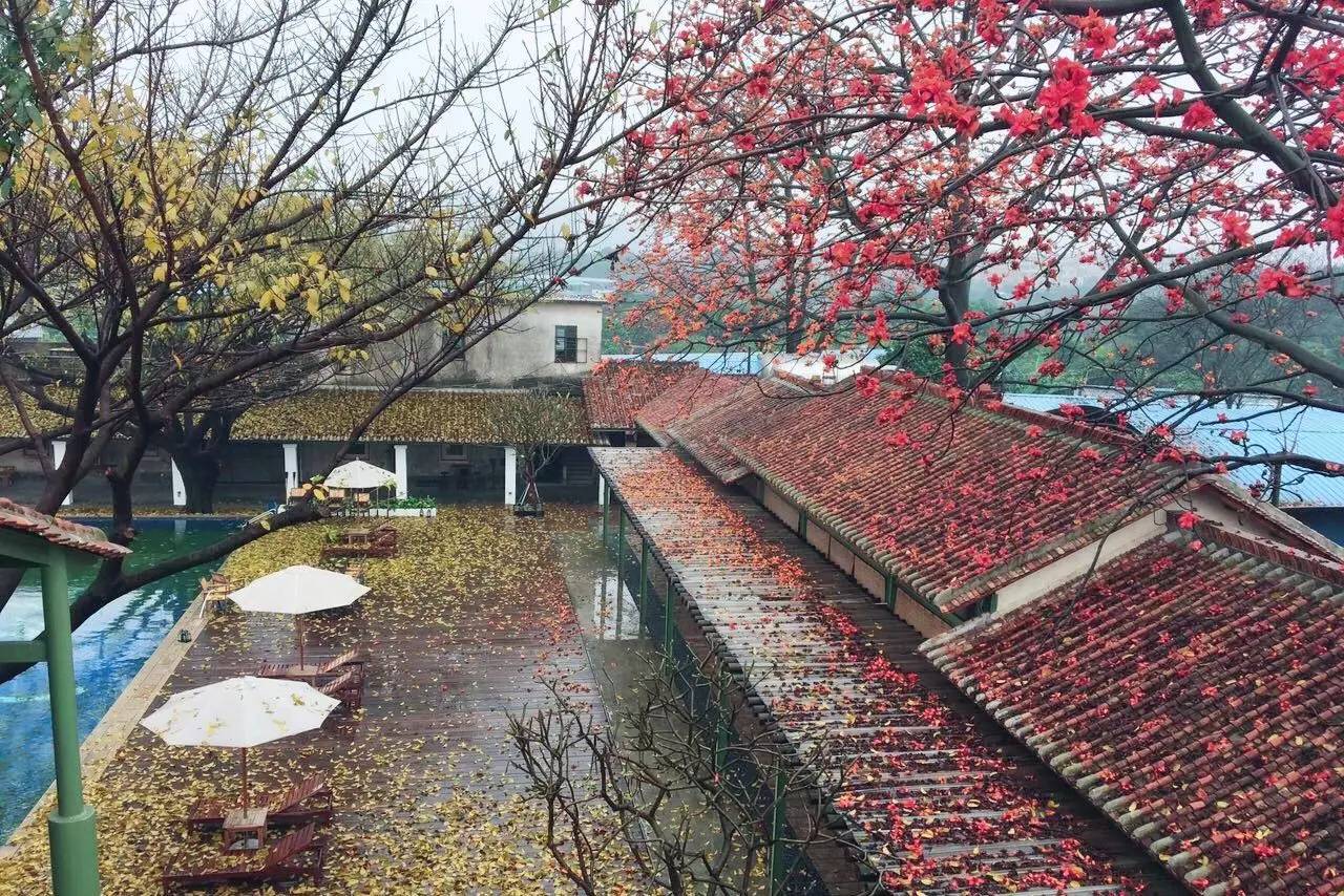 喜臨院，在年月網紅房把珠江江景盡收眼底