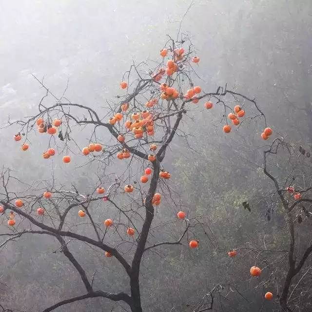 北京姥姥家民宿，聽故事感受自在的心靈時光