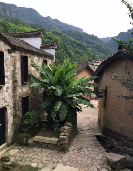 不舍·野馬嶺中國村民宿,樂在其中不忘初心