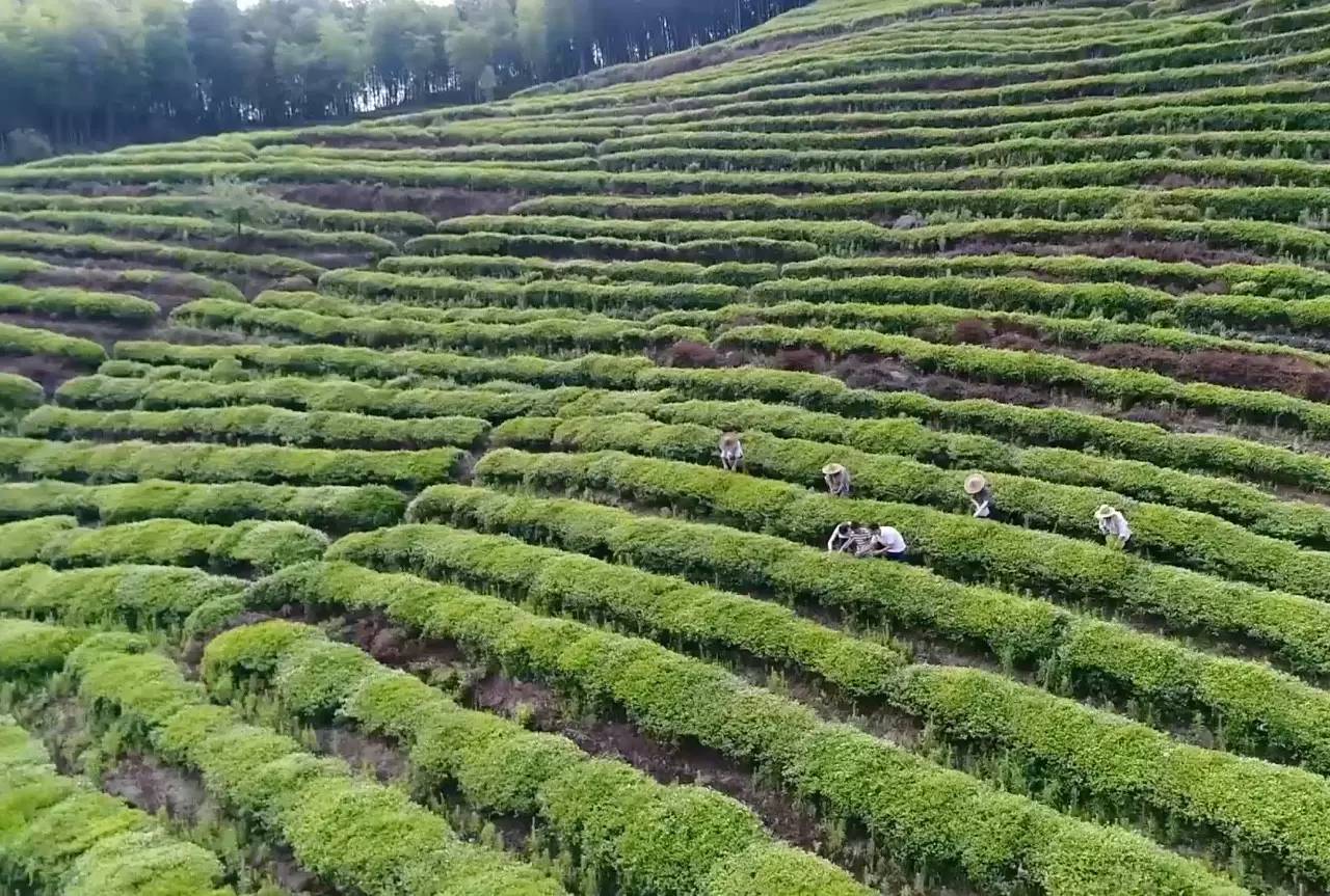 上虞陳溪鄉(xiāng)雪花谷民宿，在山谷里與自然相伴