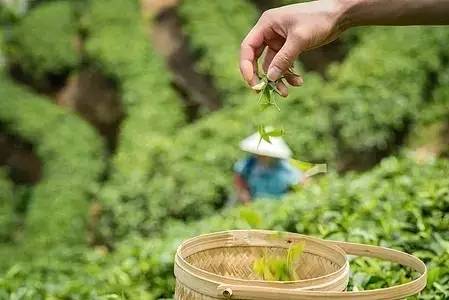 上虞陳溪鄉(xiāng)雪花谷民宿，在山谷里與自然相伴