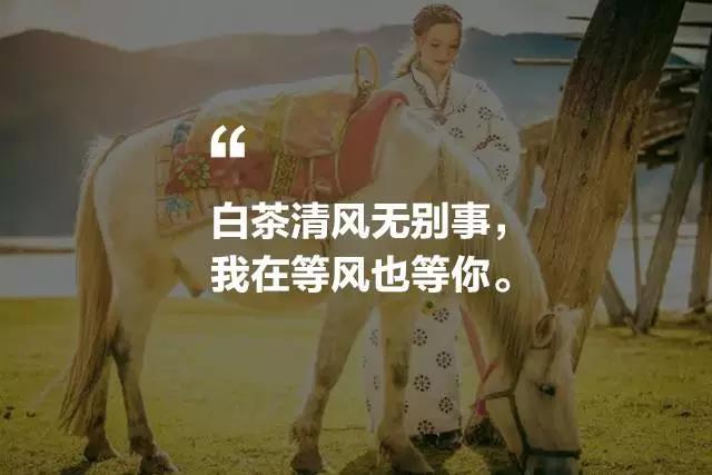 藝棧藏式客棧，我在等風也在等你