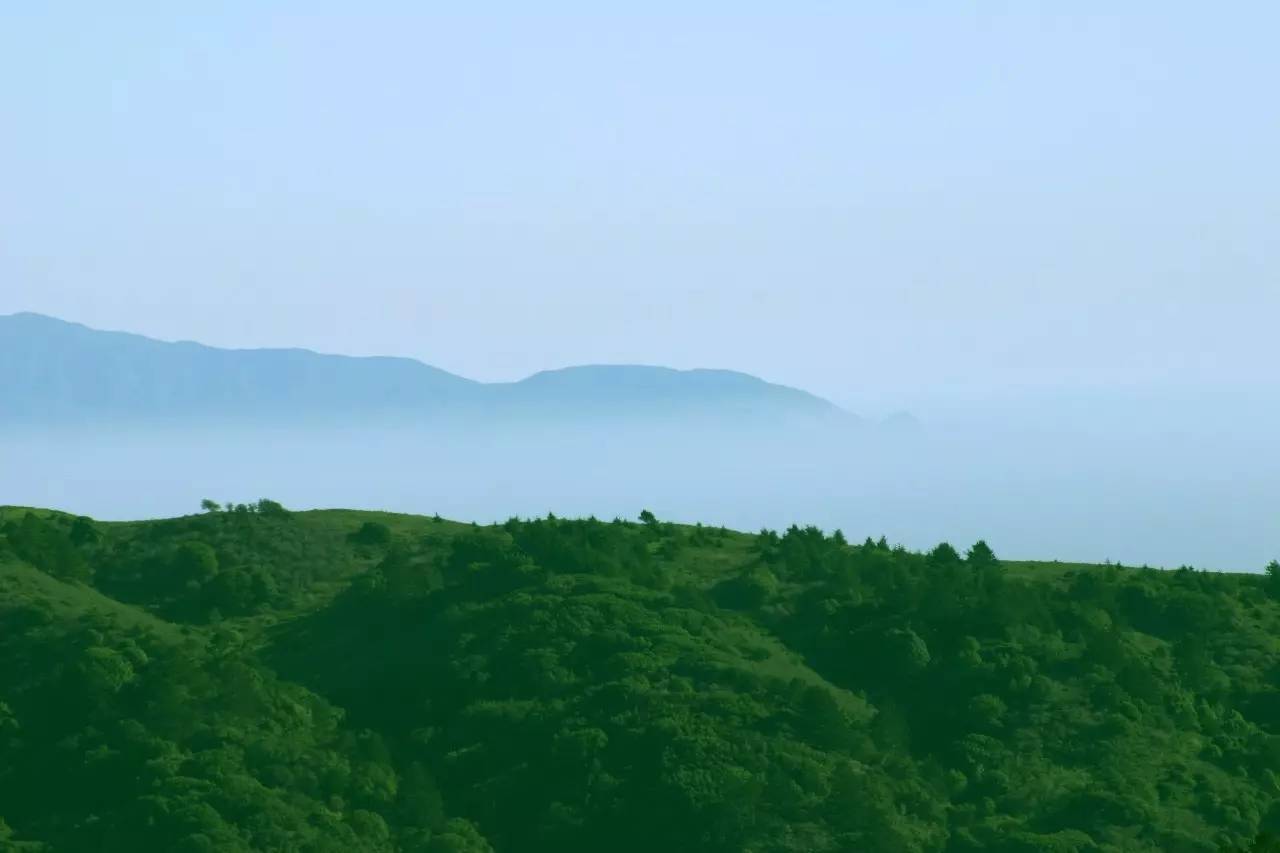熹園茶宿，禪茶一宿悠然山水間