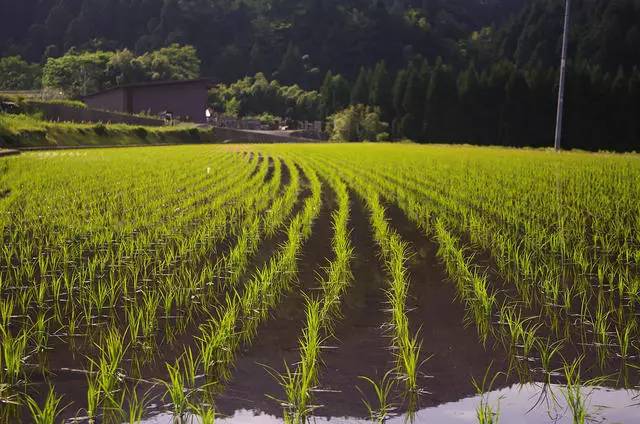熹園茶宿，禪茶一宿悠然山水間