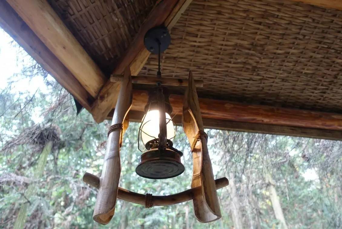 大來山樹屋民宿，喚醒古老村莊留住青山綠水