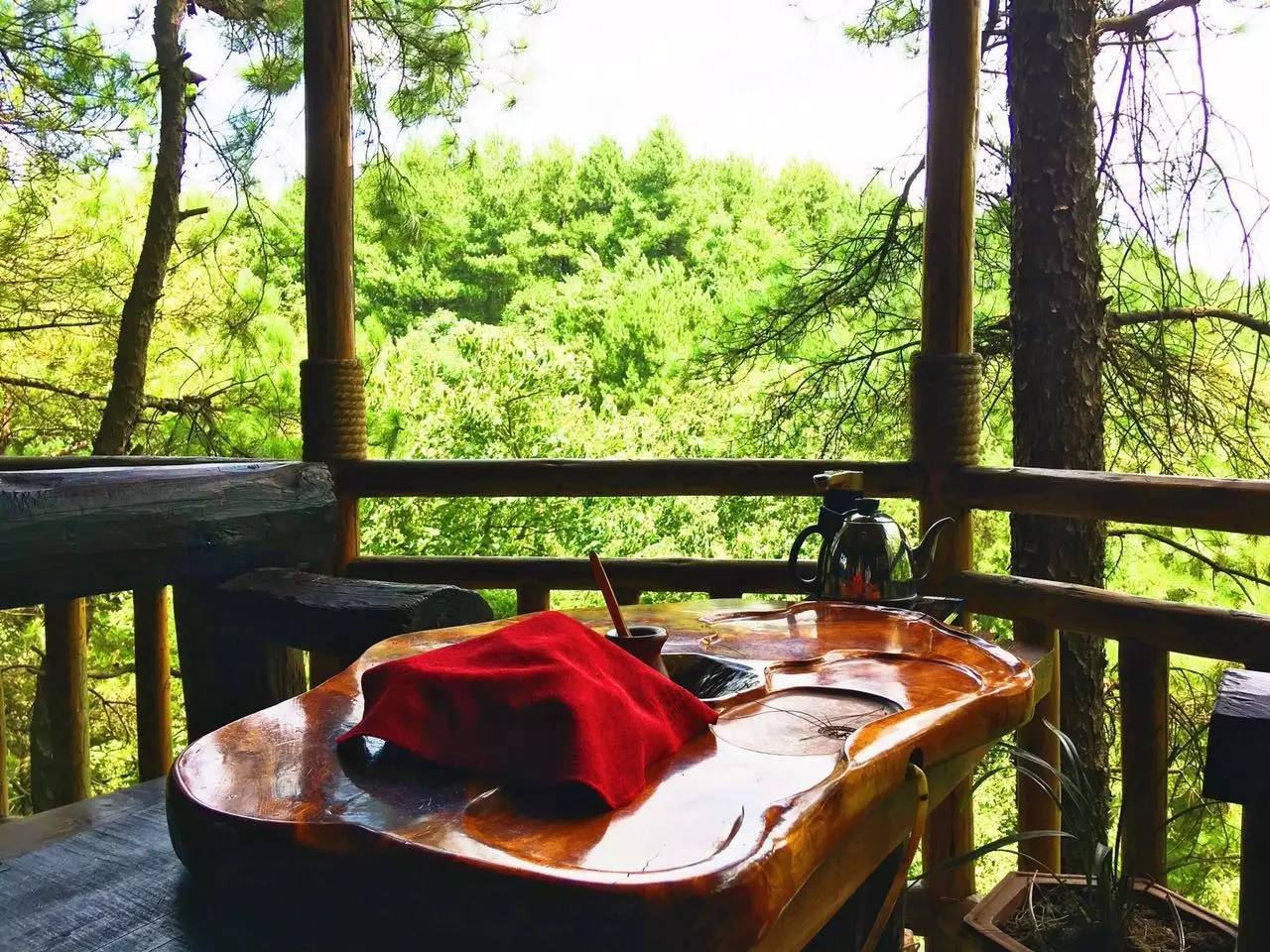 大來山樹屋民宿,喚醒古老村莊留住青山綠水