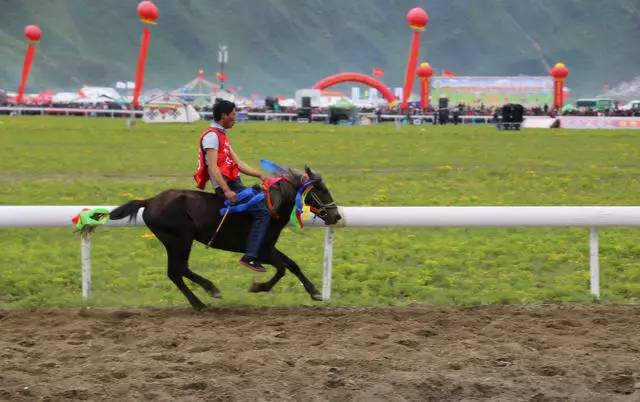 香格里拉非梵之宿，帶著你走茶馬古道