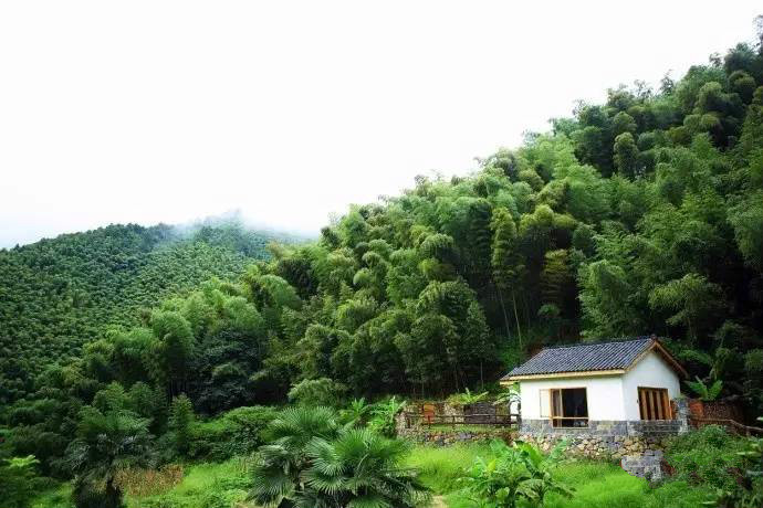 桐廬秘境民宿，不一樣人間秘境山鄉(xiāng)生活
