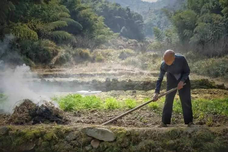 草宿民宿，愿做一顆草向往山間無拘無束的生活