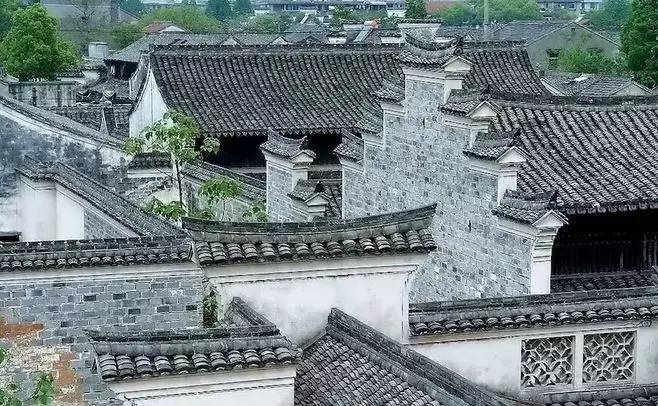 慈舍，悲喜隱去慈從舍生