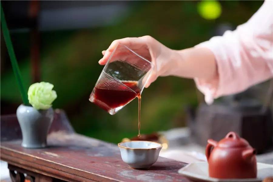 觀芷隱軒，以茶會友的民宿