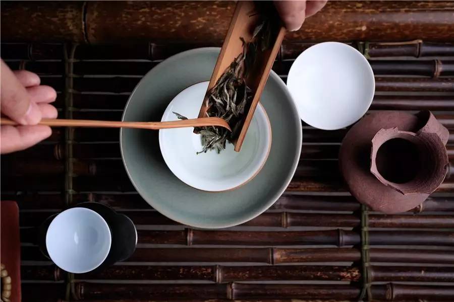 觀芷隱軒，以茶會友的民宿