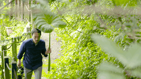 臺灣最文藝的山間小屋，數樹民宿設計