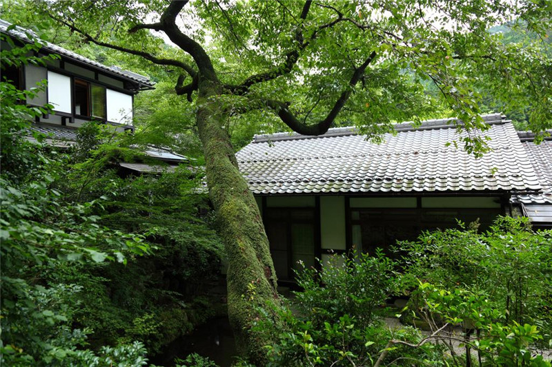 Kyo no Minshuku Ohara no Sato（大原之鄉京民宿）