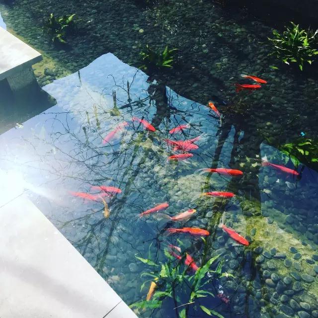 寧波慈舍美學民宿