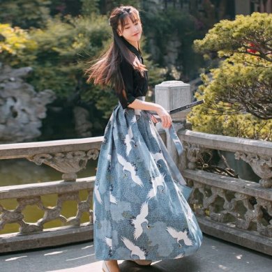 中國(guó)風(fēng)江南素兮漢服，復(fù)古套裙?jié)h服圖片