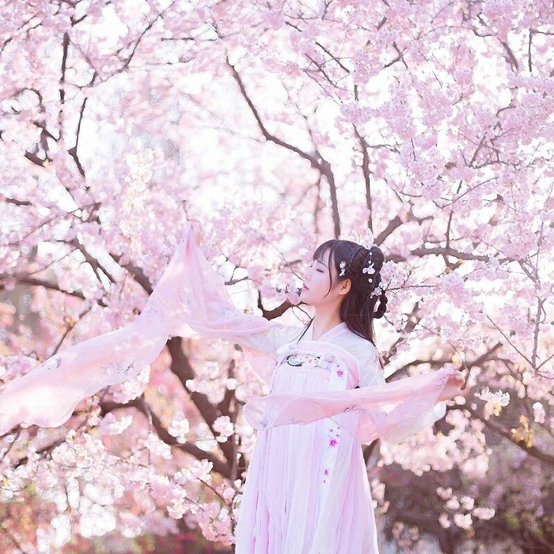 傳統華夏粉色漢服，漢元素清新淡雅漢服圖片