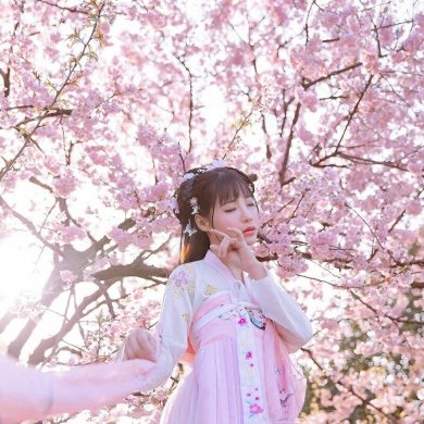 傳統(tǒng)華夏粉色漢服，漢元素清新淡雅漢服圖片