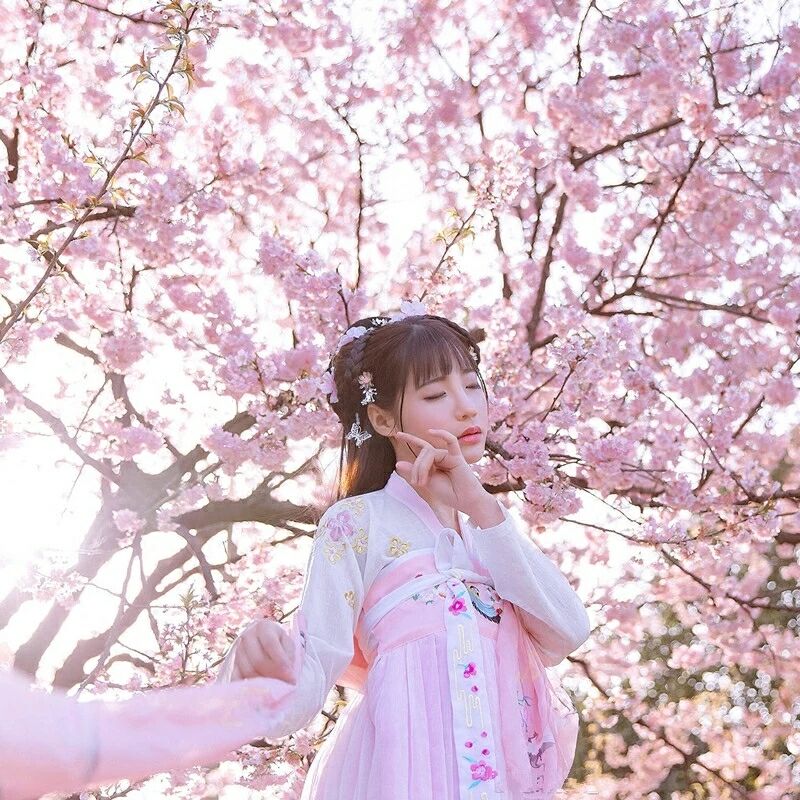 傳統華夏粉色漢服，漢元素清新淡雅漢服圖片