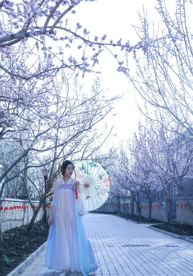 四款漢服之美圖片，集風雅于一身