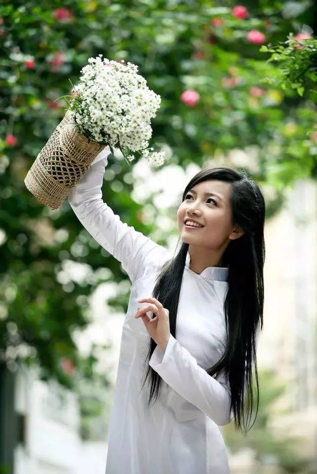 旗袍文化:令人驚艷的越南旗袍