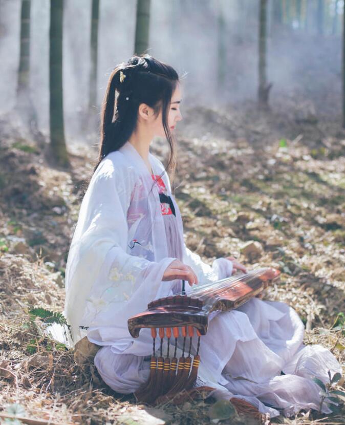 魏晉風女裝繡花大袖衫，復古中國風漢服圖片