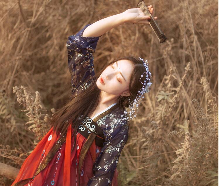 傳統齊胸襦裙，錦繡燙金刺繡漢服圖片