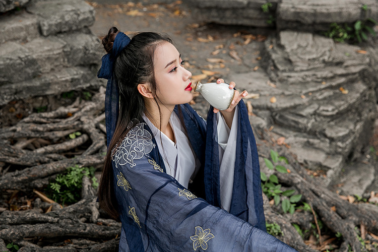 中國風大袖衫漢元素漢服古裝美女圖片