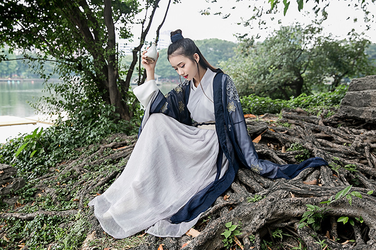中國風大袖衫漢元素漢服古裝美女圖片