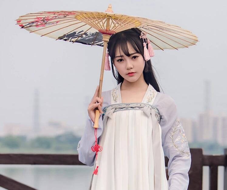 傳統漢元素襦裙女古裝圖片