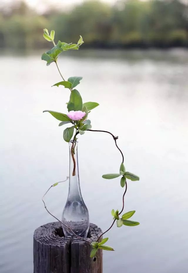 超有意境的瓶花藝術，一組簡約中國瓶花藝術