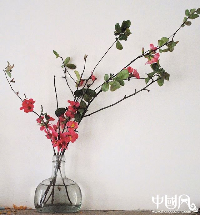 小清新插花藝術欣賞，生活如此美好