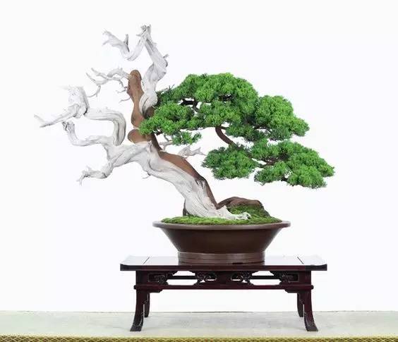 花香滿溢，唯美花藝設(shè)計！