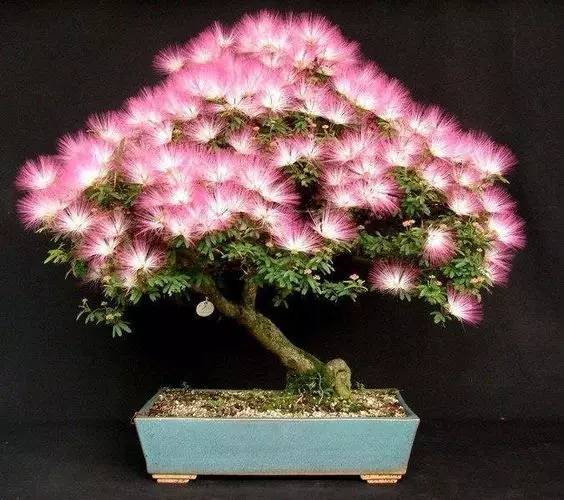 花香滿溢，唯美花藝設計！