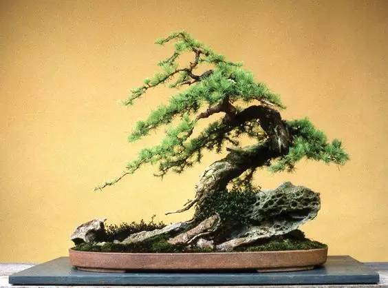 花香滿溢，唯美花藝設(shè)計(jì)！