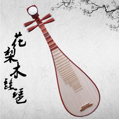 典雅大方琵琶行，聲美悠揚琵琶語