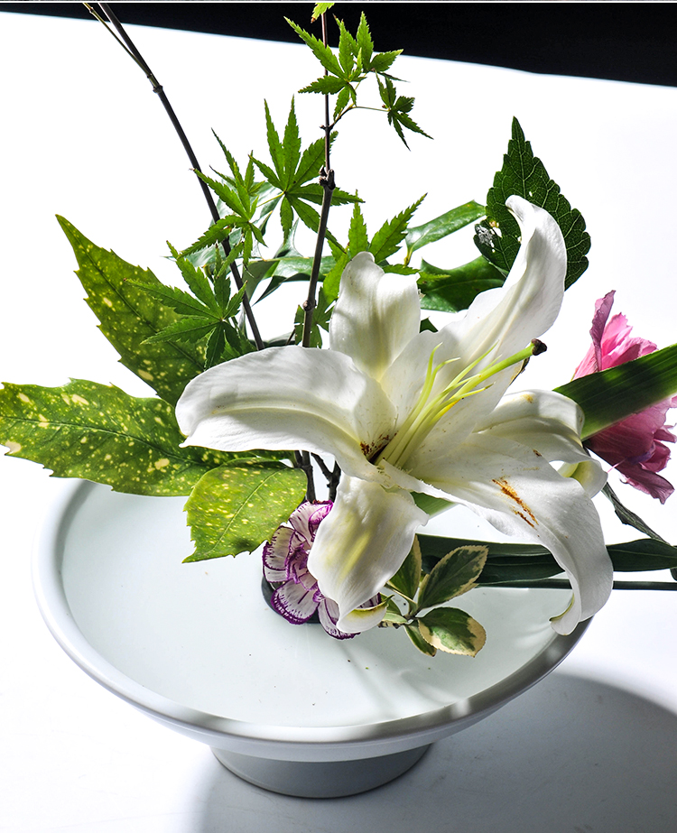 小清新插花藝術：白色創意陶瓷花器插花
