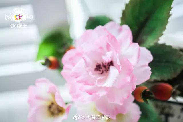 一代糖王，技術之路沒有終點不忘初心砥礪前行