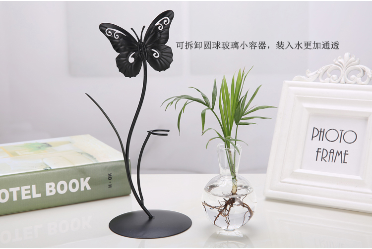 簡約現代小清新鐵藝植物透明玻璃瓶花架
